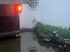 -膳和缘炒鸡店(南门路店)