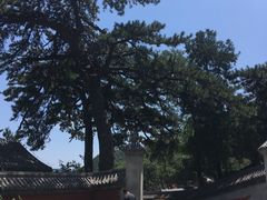 -阳台山自然风景区