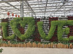 -北戴河集发农业梦想王国
