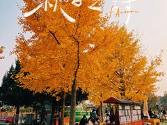 -国家植物园南园