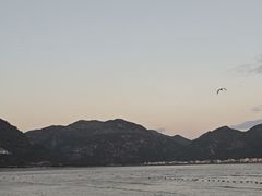 -北岐滩涂