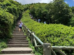 -梧桐山风景名胜区