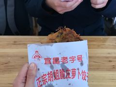 -半月镰胡姐脆皮萝卜饺子