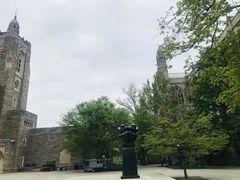 -普林斯顿大学
