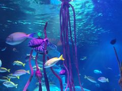 -沈阳海洋探索中心