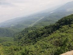 -天女山森林公园