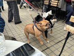 -Alimentari早午餐(安福路店)