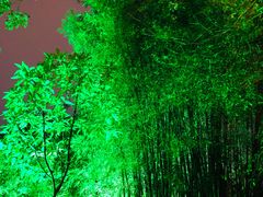 -桂林市榕杉湖景区