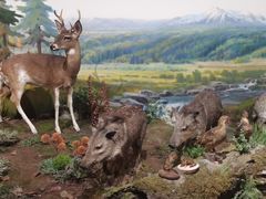 -陕西自然博物馆