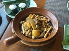 杂菌豆腐煲-mango tree芒果树泰国餐厅(青岛万象城店)
