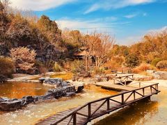 -上海吴淞炮台湾国家湿地公园