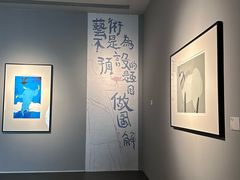 -四川美术馆