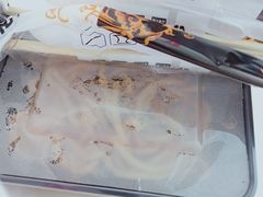 -赵记传承特色牛奶甜品(泉城广场店)
