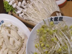 -大龙燚火锅
