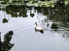 -三圣花乡旅游区