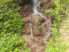 -丹山赤水风景名胜区
