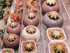 -KKV(深圳宏发大仟里店)