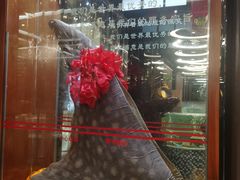 -蓬川食府(金海道店)