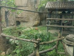 -成都动物园