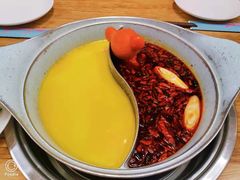 -青瓷火锅料理(西单大悦城店)