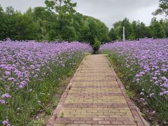 -同里国家湿地公园