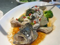 -顺意·顺德家乡菜(国际人才大厦店)