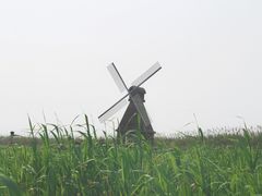 -宁波杭州湾国家湿地公园