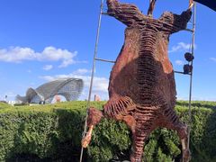 -南汇嘴观海公园