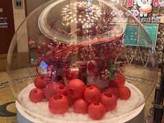 -老淳安—伴山伴湖(千岛湖开元度假村店)