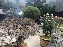 -普陀山风景名胜区-法雨禅寺