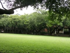 -中山大学学者灵芝(园南路店)