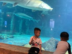 -华夏文旅海洋公园