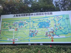 -上海海湾国家森林公园