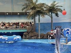 -海合安成都极地海洋公园