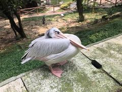 -吉隆坡雀鸟公园