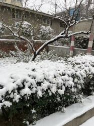 -希梵尔头皮抗衰·科技养发
