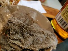 鲜毛肚-肥龙火锅(南坪店)