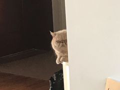 -巴奴毛肚火锅(安阳相州店)