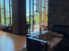 -逸廊大堂吧-下午茶·简餐-千岛湖自由洲际殿