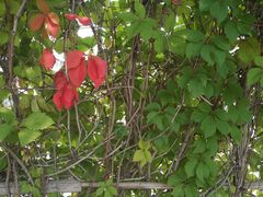 -南开大学滨海学院