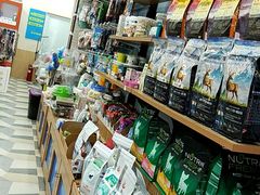 -总动员动物医院(宝丰院店)