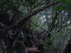 -普者黑风景区-青龙山
