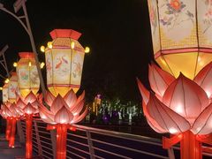 -大连老虎滩海洋公园