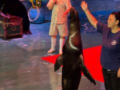 -烟台海昌鲸鲨海洋公园