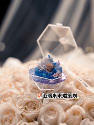 -迈瑞米求婚策划(静安店)