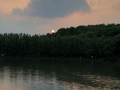 -昆山城市生态森林公园