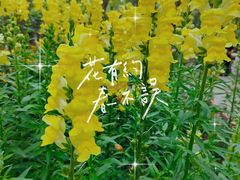 -成都动物园