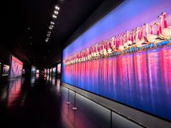 -罗红摄影艺术馆