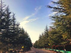 -黄河小浪底水利枢纽风景区