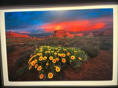 -罗红摄影艺术馆